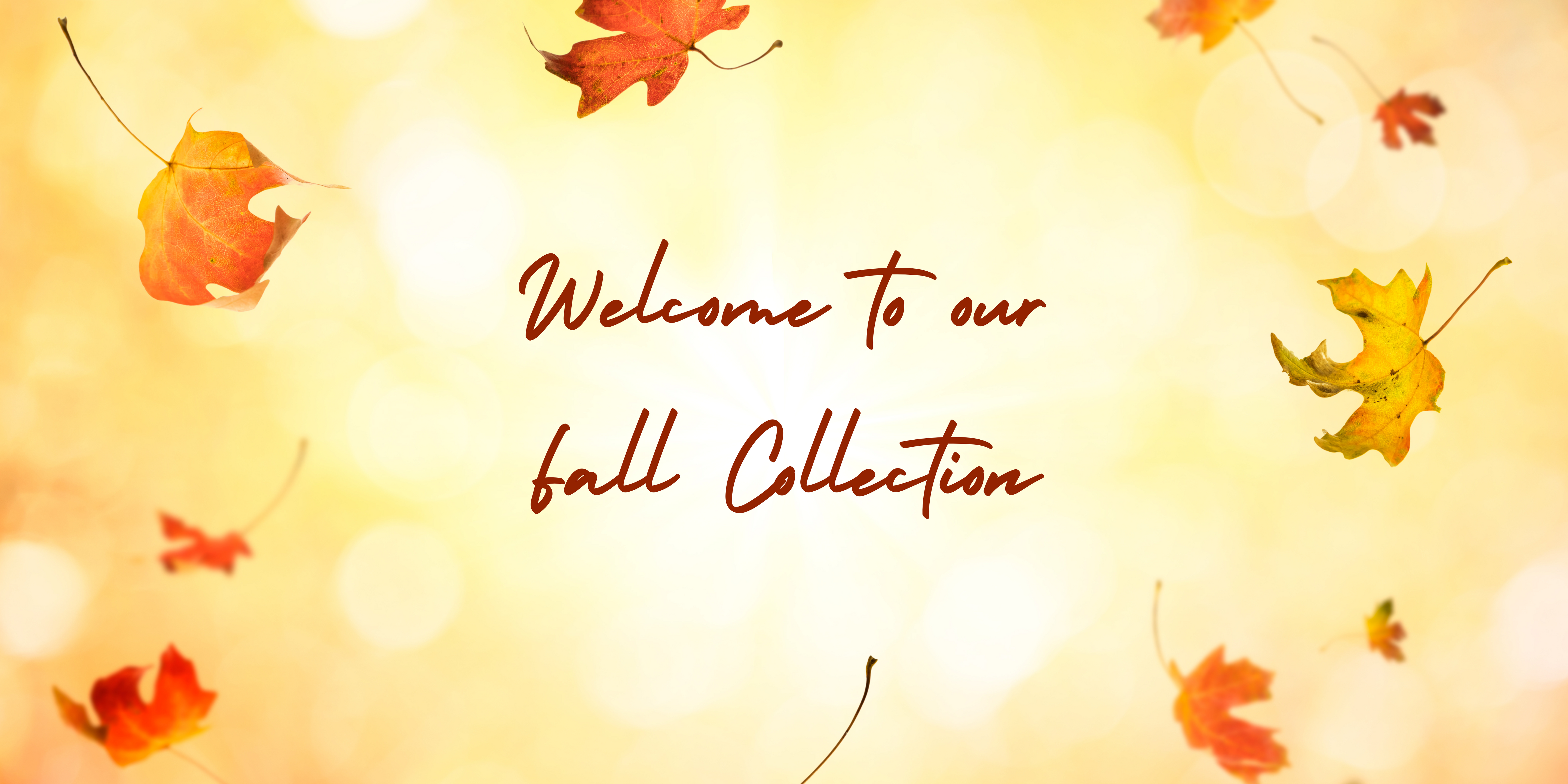 Fall Collection